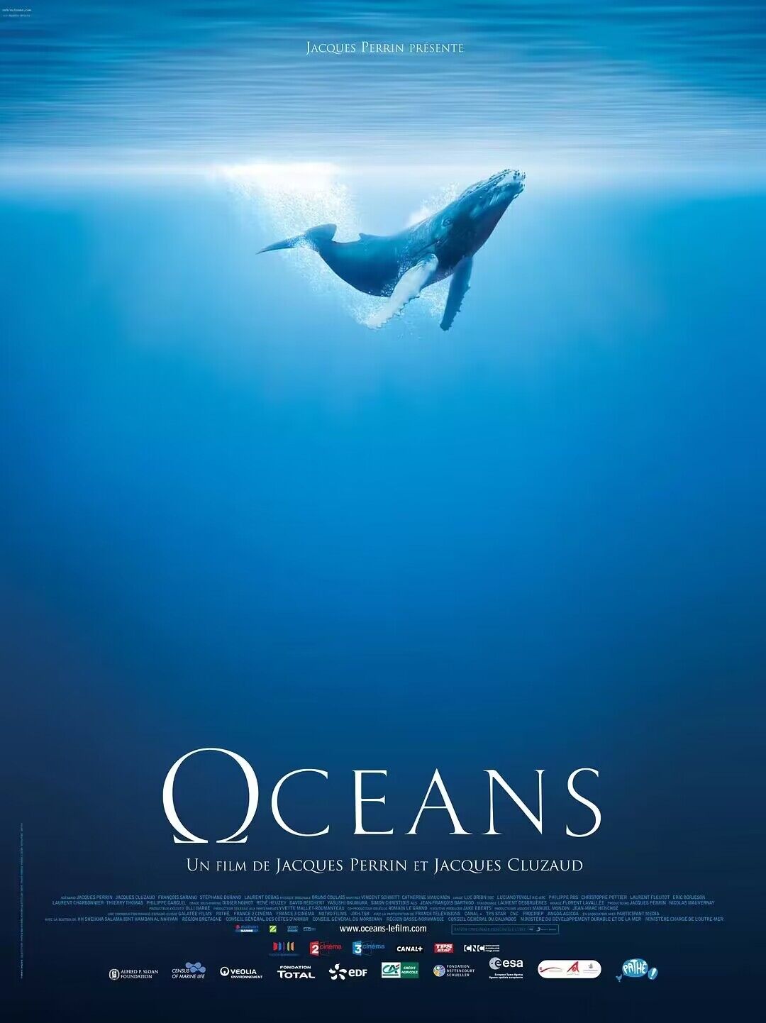 耗时5年拍摄的记录片《海洋》 豆瓣评分9.0，挺震撼的啊！